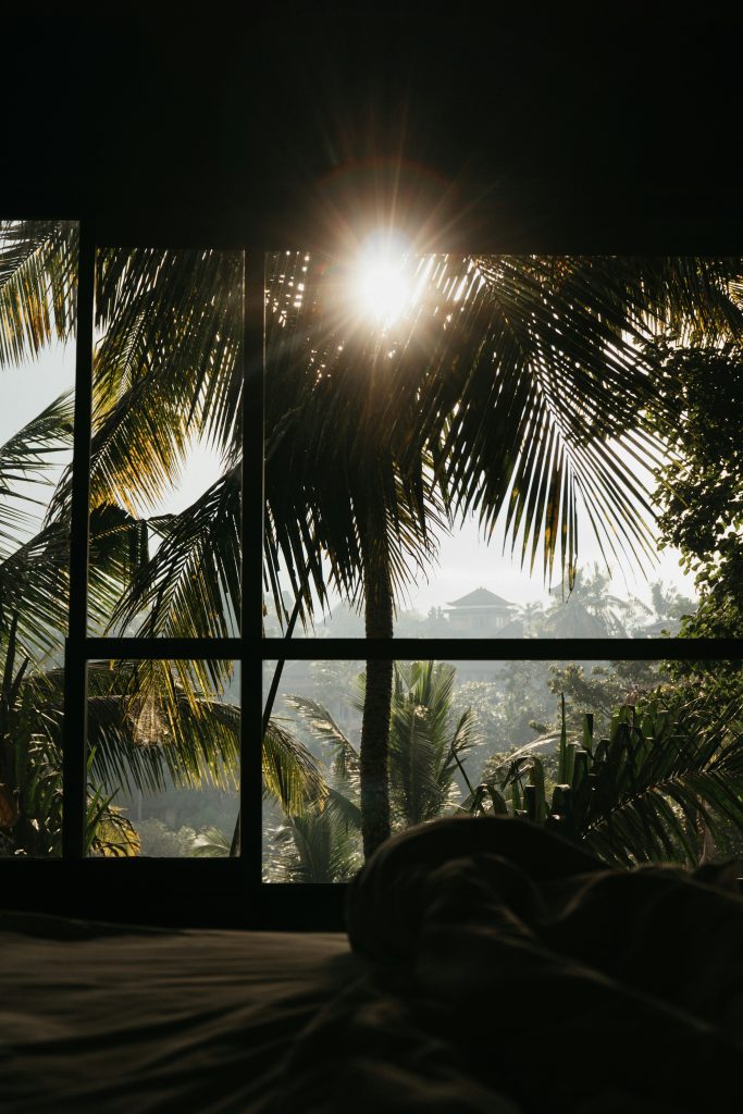 Sun rising through palm leaves outside a bedroom window.